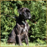 Riva 11.10.17,  5 mois