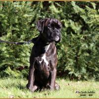 Riva 11.10.17,  5 mois