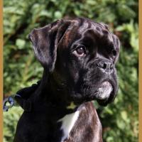 Riva 11.10.17,  5 mois