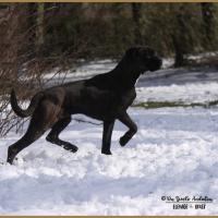 Riva Neige 01.03.18, 9 mois