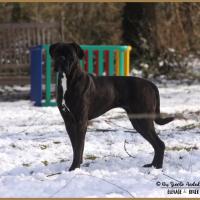 Riva Neige 01.03.18, 9 mois