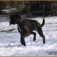 Riva Neige 01.03.18, 9 mois