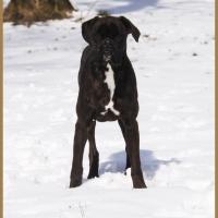 Riva Neige 01.03.18, 9 mois