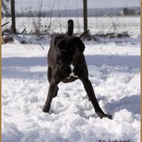 Riva Neige 01.03.18, 9 mois