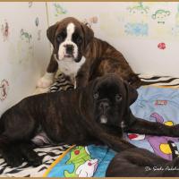 R'Spooky & Renzo 51 jours