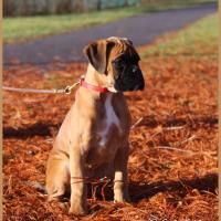 Scott, 2 mois et demi  (85J)