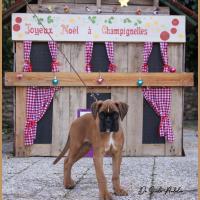 Scott, 2 mois et demi  (85J)