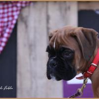 Scott, 2 mois et demi  (85J)