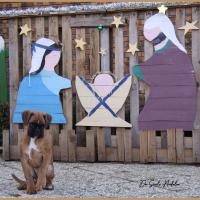 Scott, 2 mois et demi  (85J)