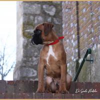 Scott, 2 mois et demi  (85J)