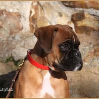 Scott, 2 mois et demi  (85J)