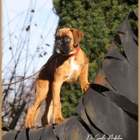 Scott, 2 mois et demi  (85J)