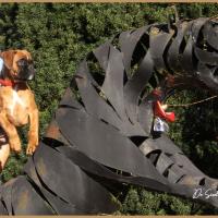 Scott, 2 mois et demi  (85J)