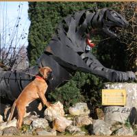 Scott, 2 mois et demi  (85J)