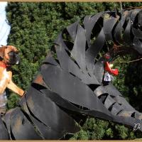 Scott, 2 mois et demi  (85J)