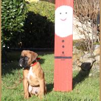 Scott, 2 mois et demi  (85J)