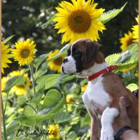 Sharon 2 mois et demi 