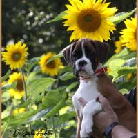 Sharon 2 mois et demi 