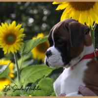 Sharon 2 mois et demi