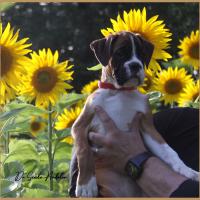 Sharon 2 mois et demi 