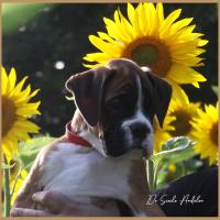 Sharon 2 mois et demi