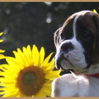 Sharon 2 mois et demi