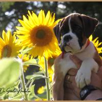 Sharon 2 mois et demi 