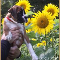 Sharon 2 mois et demi 