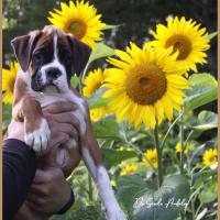 Sharon 2 mois et demi