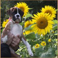 Sharon 2 mois et demi