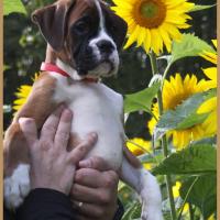 Sharon 2 mois et demi 