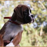 Sharon 2 mois et demi 