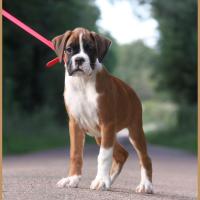 Sharon 2 mois et demi 