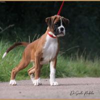 Sharon 2 mois et demi