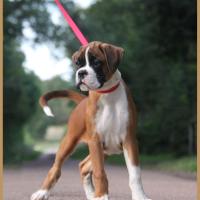 Sharon 2 mois et demi