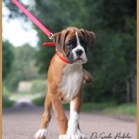 Sharon 2 mois et demi