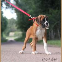 Sharon 2 mois et demi 