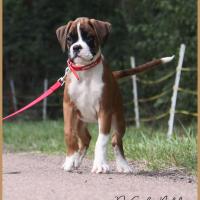 Sharon 2 mois et demi