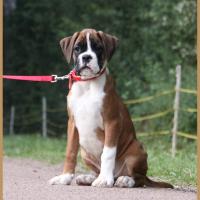 Sharon 2 mois et demi