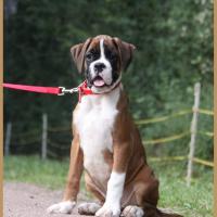 Sharon 2 mois et demi