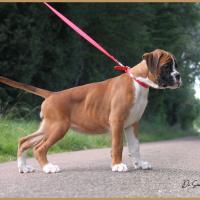 Sharon 2 mois et demi