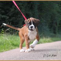 Sharon 2 mois et demi