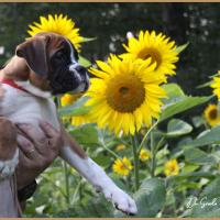 Sharon 2 mois et demi