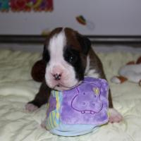 Jerez Du Siècle Andalou / J-18 - Día 18