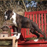 Taylor 87 jours 17 07 22 0489