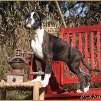 Taylor 87 jours 17 07 22 0491