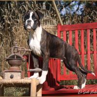 Taylor 87 jours 17 07 22 0492