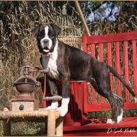 Taylor 87 jours 17 07 22 0496