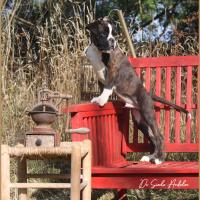 Taylor 87 jours 17 07 22 0531