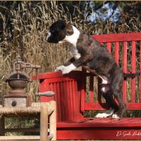 Taylor 87 jours 17 07 22 0537